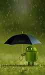 pic for Android Rain 768x1280